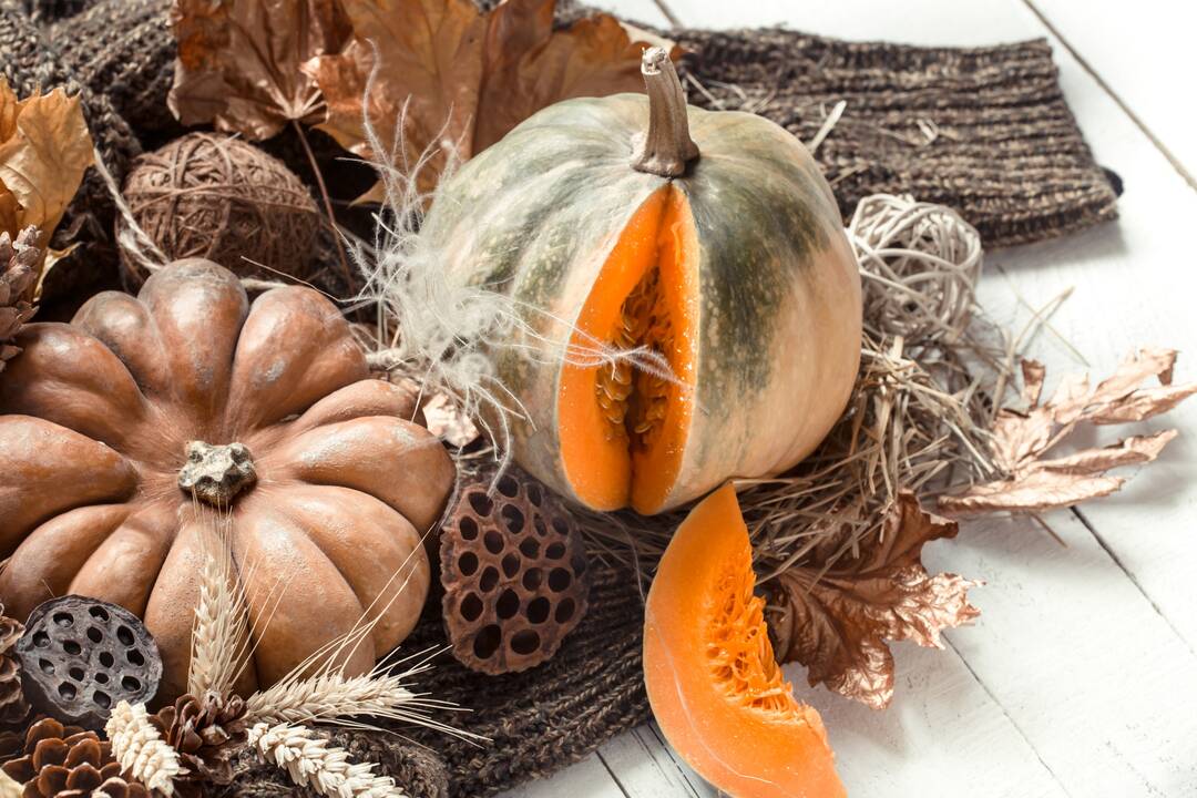 Astrologinė prognozė lapkričio 2-8 d.