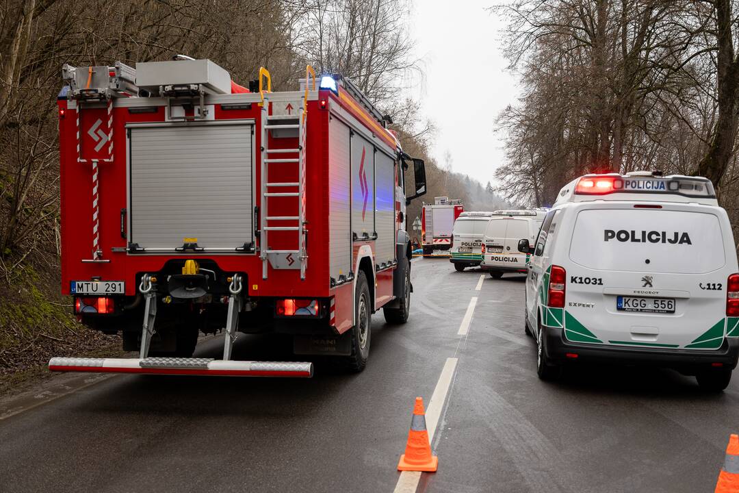 Netoli Kauno – siaubinga akistata su miškavežiu