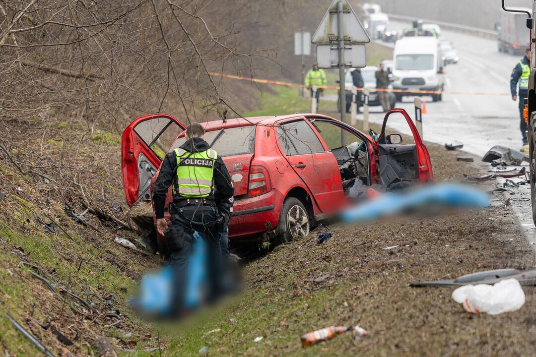 Netoli Kauno – siaubinga akistata su miškavežiu