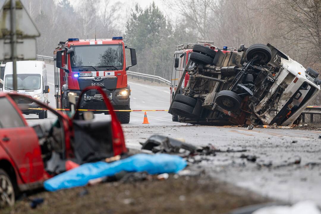 Netoli Kauno – siaubinga akistata su miškavežiu