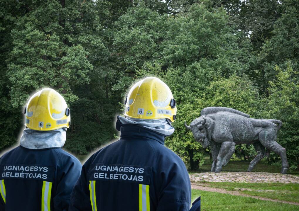 16-metė kaunietė vos ištrūko iš stumbro gniaužtų: į Ąžuolyną kviesti net ugniagesiai gelbėtojai