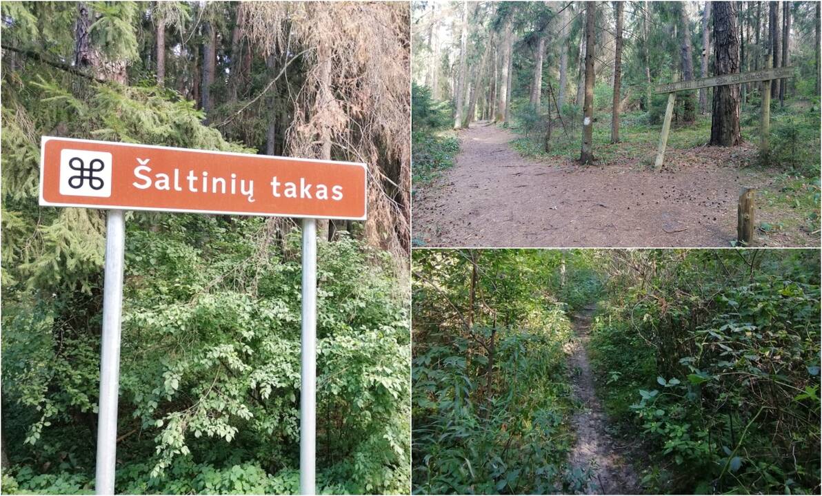 Apleista: Šaltinių take nusitrynę orientaciniai žymėjimai, pačius šaltinius slepia šabakštynai.