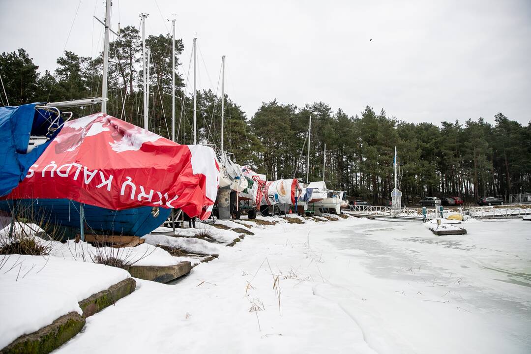 Požiūris: šiuos laivus Turistinių burlaivių savininkų asociacija savo nuožiūra susistatė prie marių.
