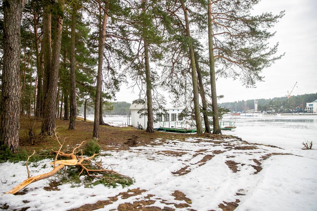Požiūris: šiuos laivus Turistinių burlaivių savininkų asociacija savo nuožiūra susistatė prie marių.