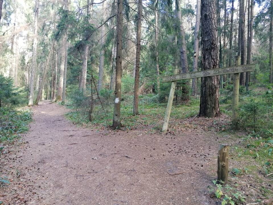 Apleista: Šaltinių take nusitrynę orientaciniai žymėjimai, pačius šaltinius slepia šabakštynai.