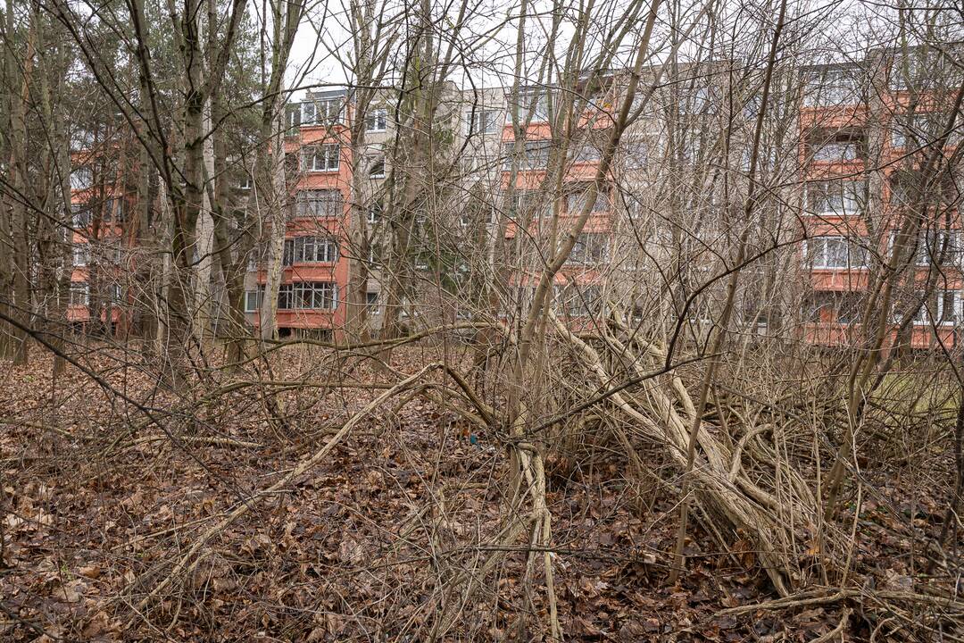 Nepadeda: nors prie naujojo piešinio yra ženklas, draudžiantis čia mesti atliekas, gyventojai vis tiek padarė sąvartyną.