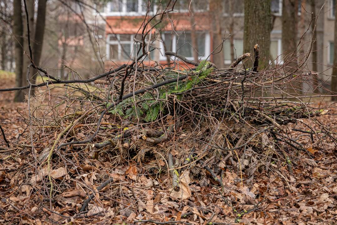 Nepadeda: nors prie naujojo piešinio yra ženklas, draudžiantis čia mesti atliekas, gyventojai vis tiek padarė sąvartyną.