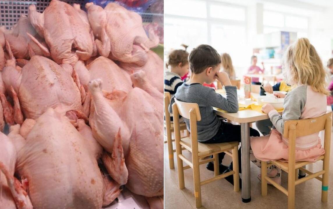 Užkrėsta lenkiška vištiena – ir Kauno darželiuose: vaikai užsikrėtė salmonelioze