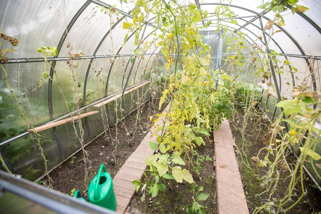 Motyvas: geras elgesys atvers duris į laisvę – didžiausią nuteistų vaikų praradimą.