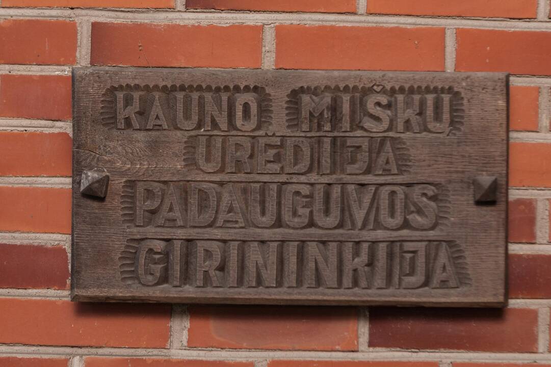 Jautrūs: elniai – baikštūs gyvūnai, pajutę ką nors įtartina, greitai sprunka gilyn į mišką, todėl juos stebėti ilgesnį laiką sudėtinga.