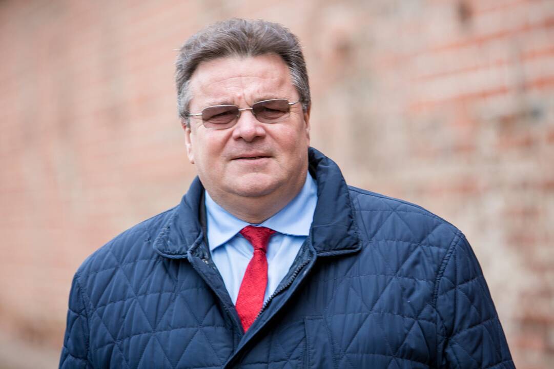 Aplinkybės: Kaune L.Linkevičius lankosi ne taip dažnai, kaip norėtų.