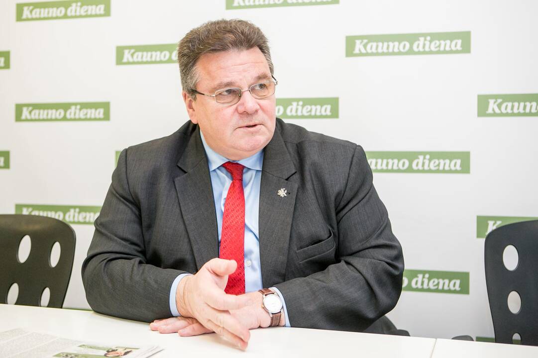 Aplinkybės: Kaune L.Linkevičius lankosi ne taip dažnai, kaip norėtų.