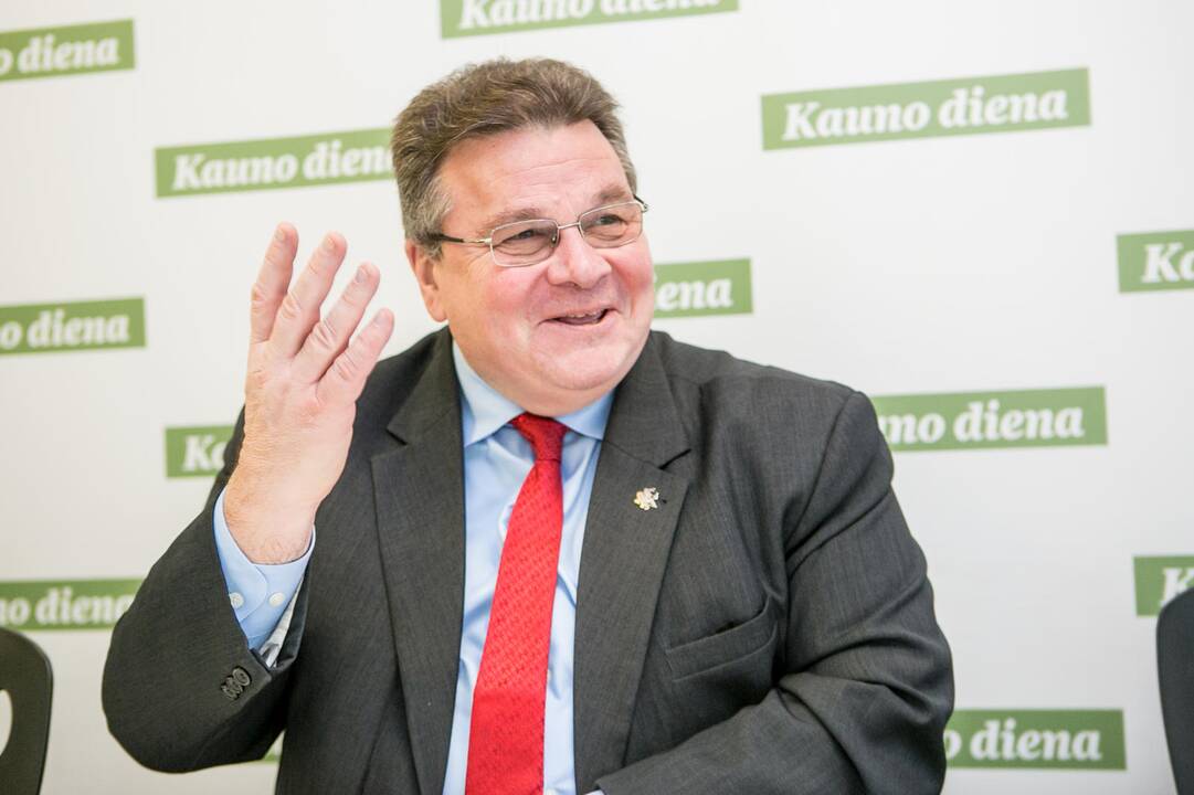 Aplinkybės: Kaune L.Linkevičius lankosi ne taip dažnai, kaip norėtų.