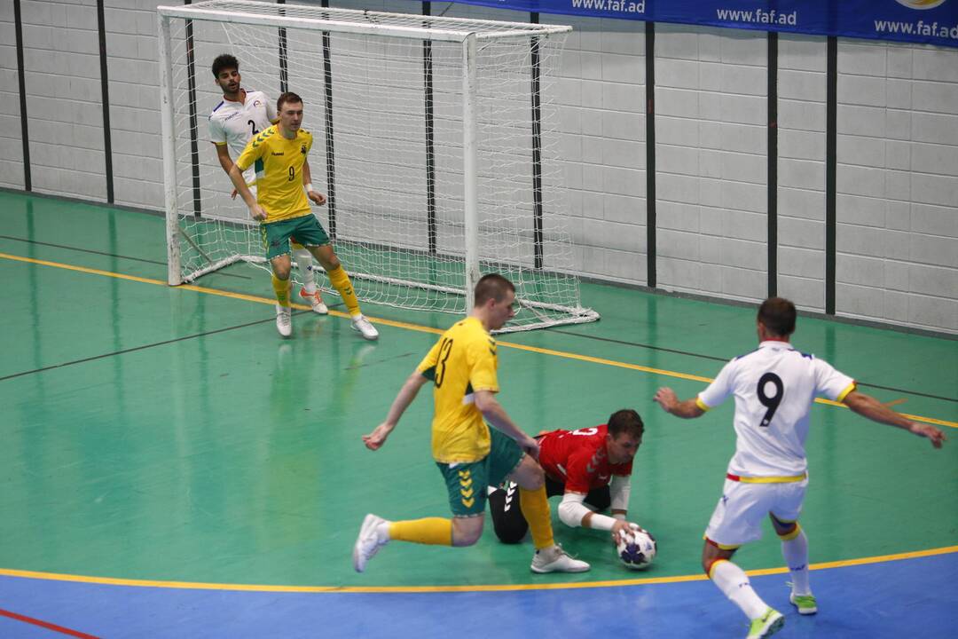 Lūkesčiai: J.Ryvkinas tikisi, kad jo vadovaujama Lietuvos salės futbolo rinktinė tinkamai pasiruoš pasaulio čempionato finalo turnyrui.