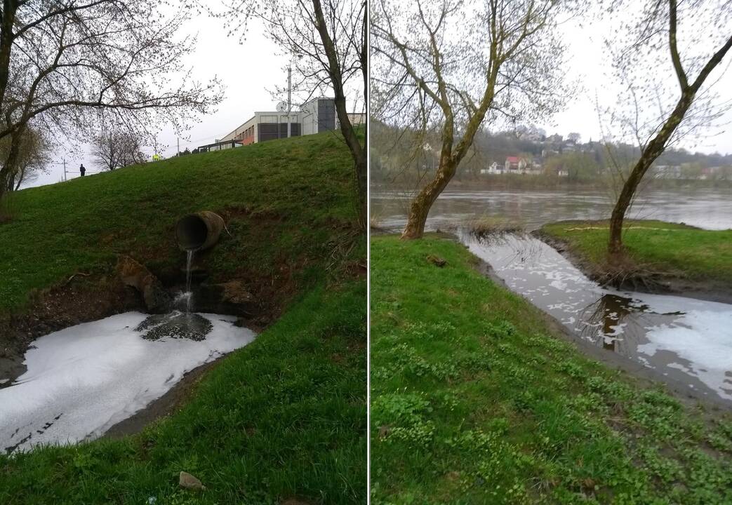 Kauniečiai praneša: į Nerį bėga baltos spalvos teršalai
