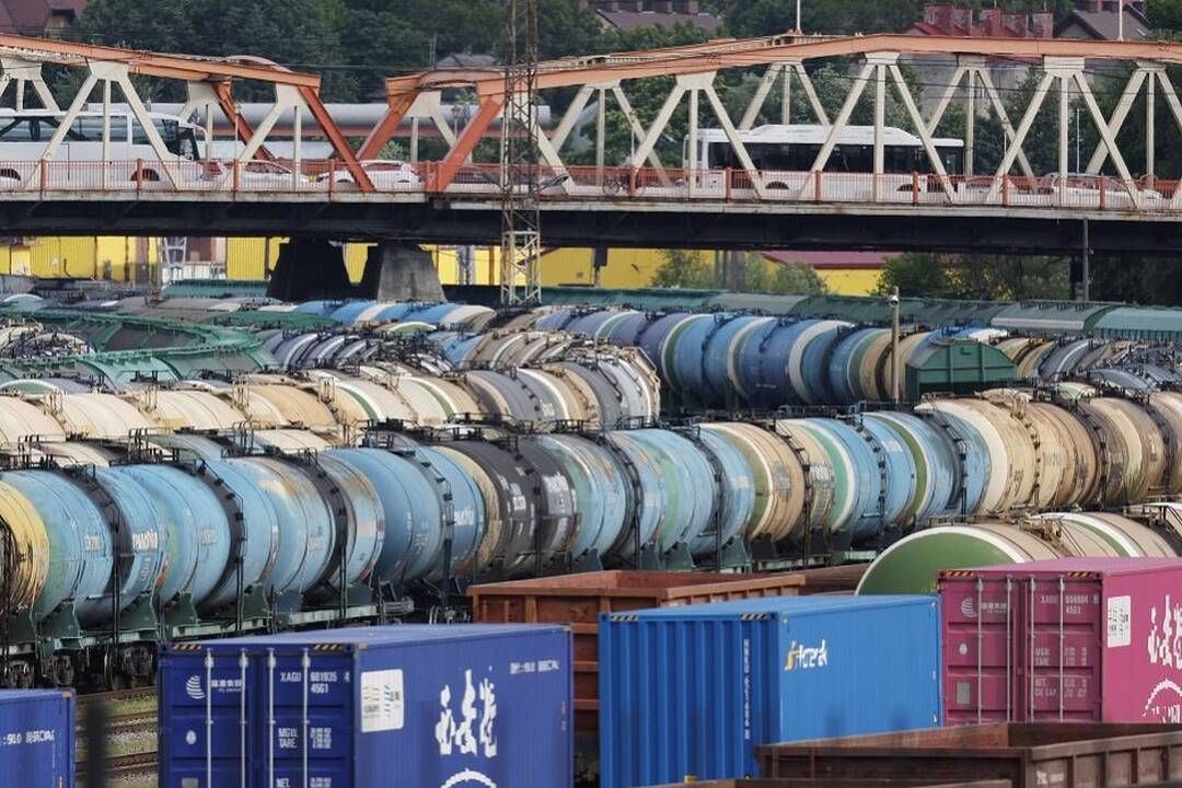 Politologai įvertino opozicijos kritiką valdantiesiems dėl Kaliningrado: politiškai pavojinga