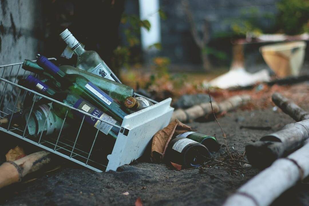 Vaikai iš šeimų paimti ir dėl motinų girtavimo