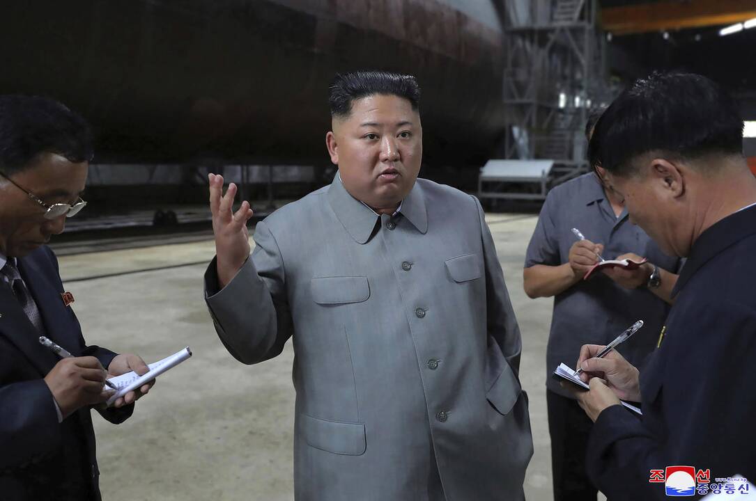 Kim Jong Unas