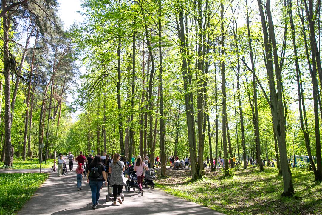 Eisena Pasaulinės mamų psichikos sveikatos proga