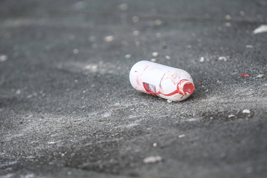 Kėdainiuose siautėjusi 59-erių „menininkė“ turės aiškintis policijai