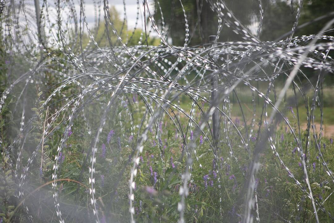 Pasienyje su Baltarusija apgręžti šeši migrantai
