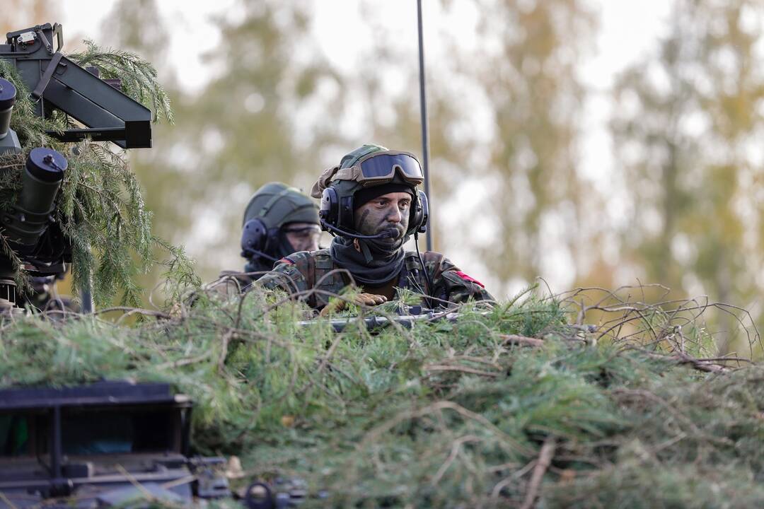 Ką reiškia NATO 4-asis straipsnis?