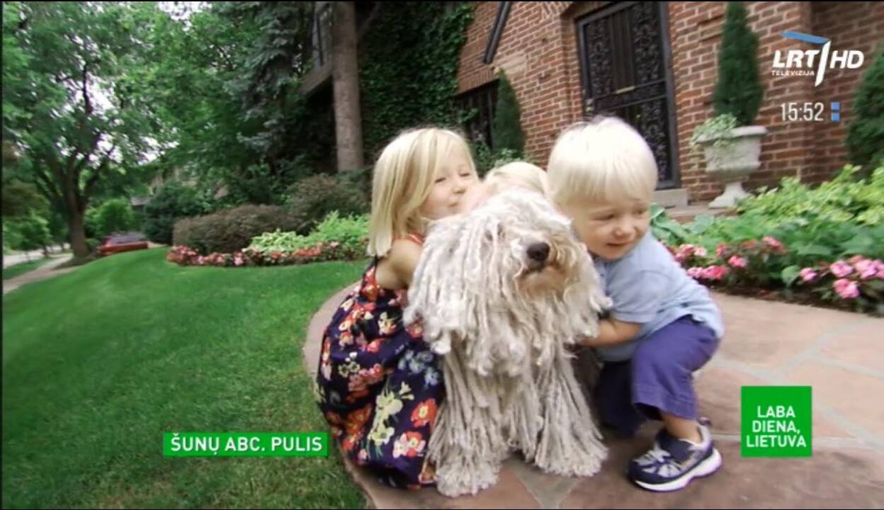 Ar matėte vieną keisčiausių šunų pasaulyje?