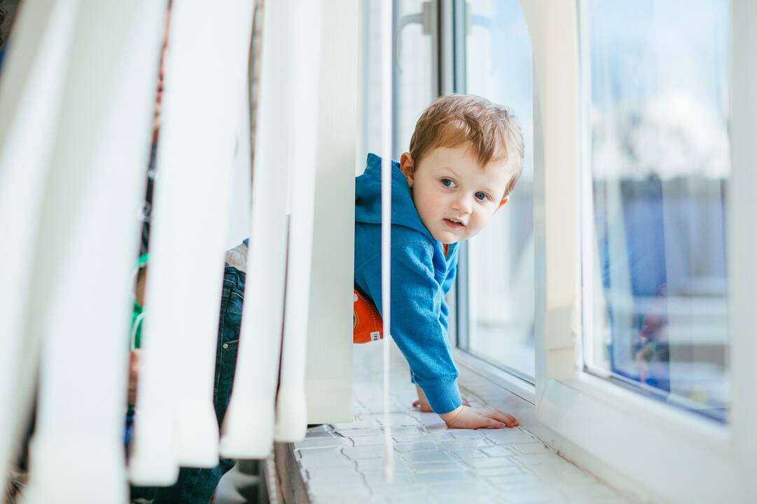 Sumaišties Šilainiuose kaltininkė – pramogaujanti katė ar nerūpestinga mama?