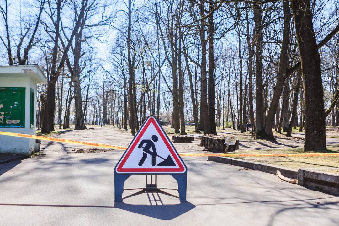 Ardomos Vytauto parko karuselės