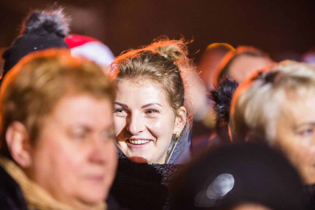 Raudondvario dvare įžiebta Kauno rajono eglutė