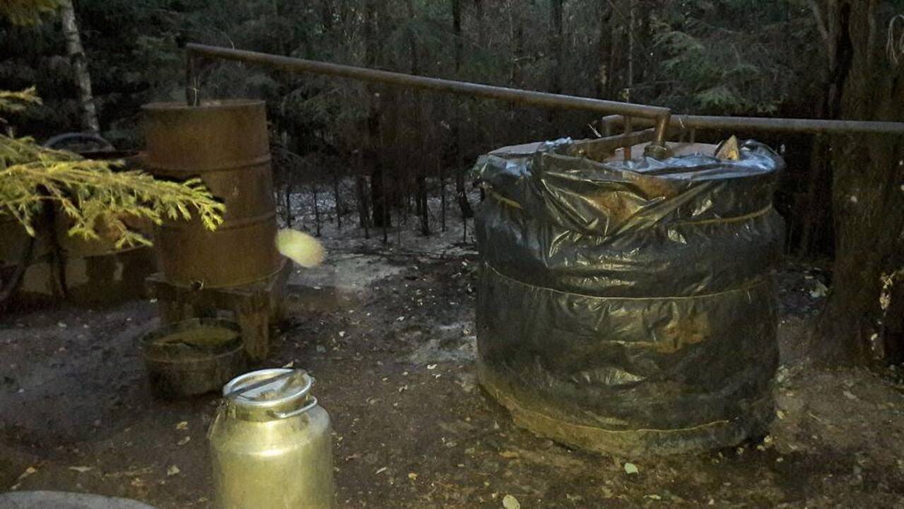 Rietavo miške rasta naminės degtinės varykla
