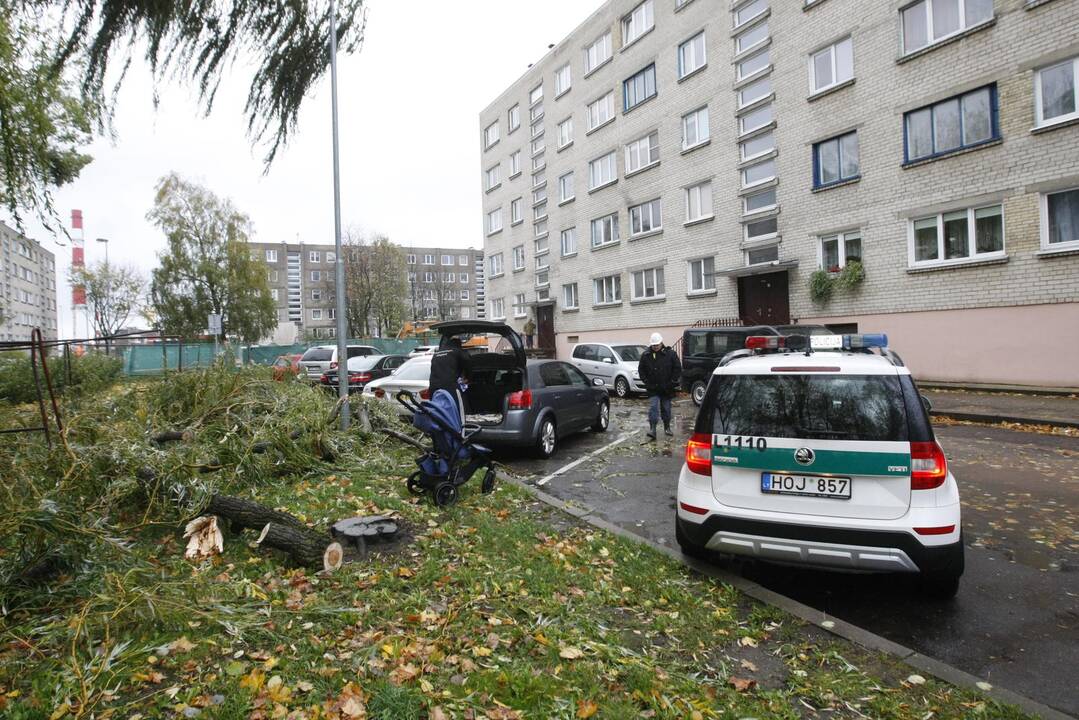 Vėtra uostamiestyje