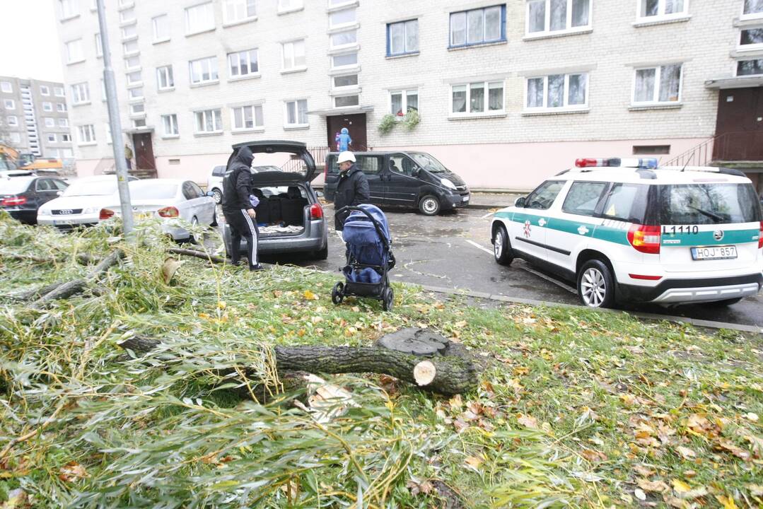 Vėtra uostamiestyje