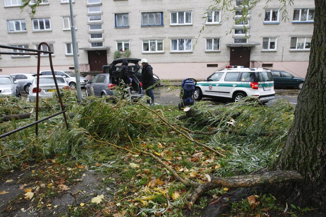 Vėtra uostamiestyje