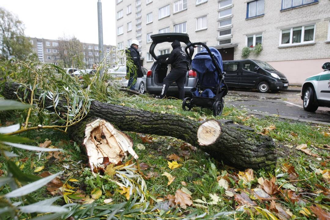 Vėtra uostamiestyje