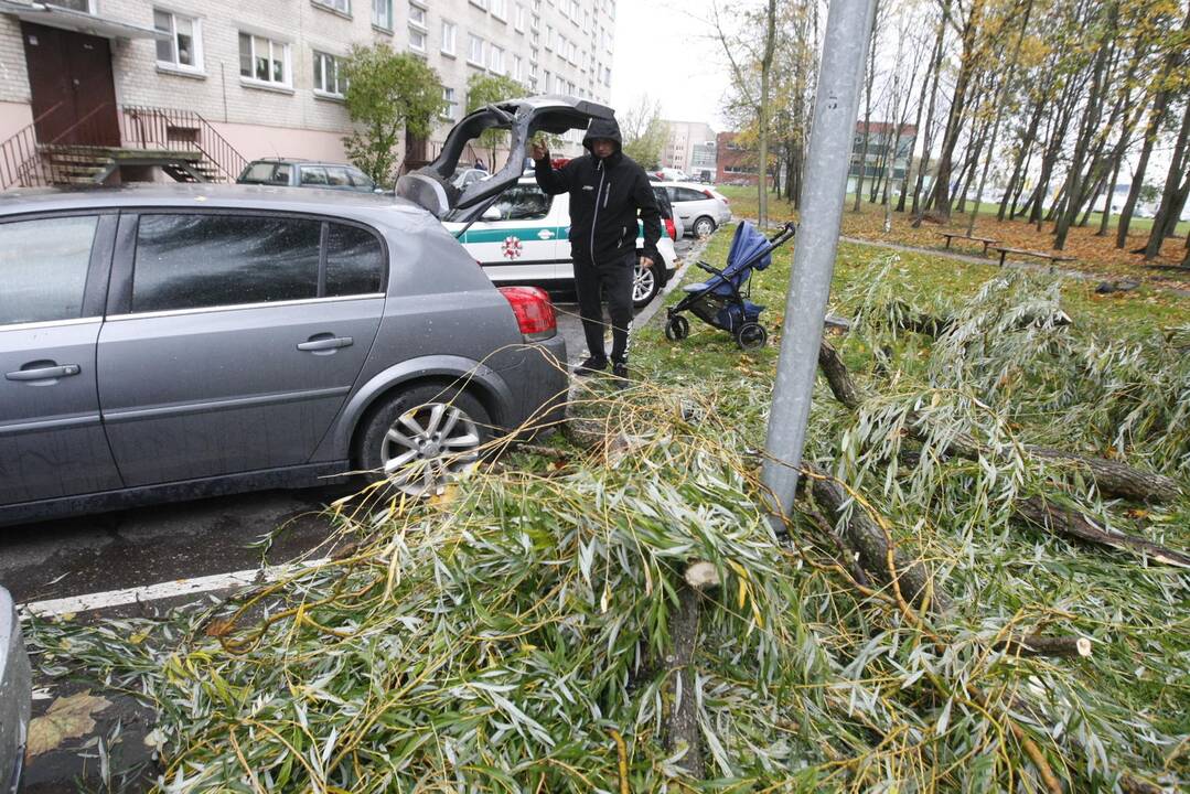 Vėtra uostamiestyje