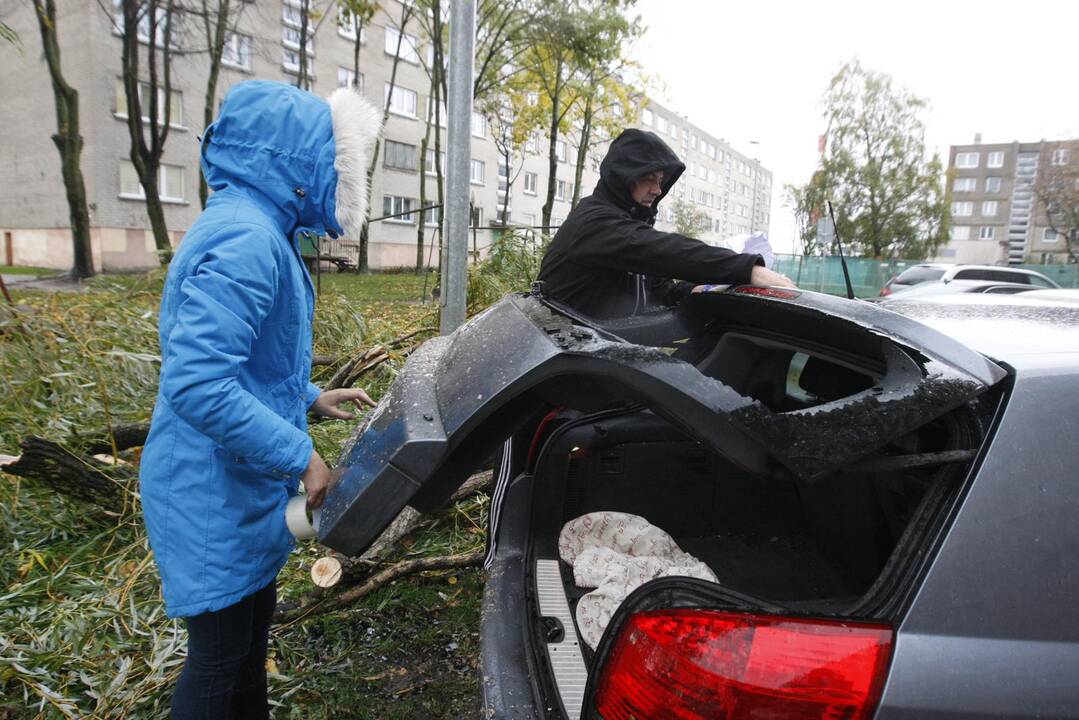 Vėtra uostamiestyje