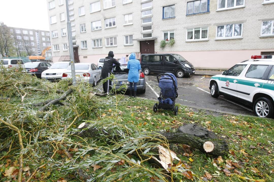 Vėtra uostamiestyje