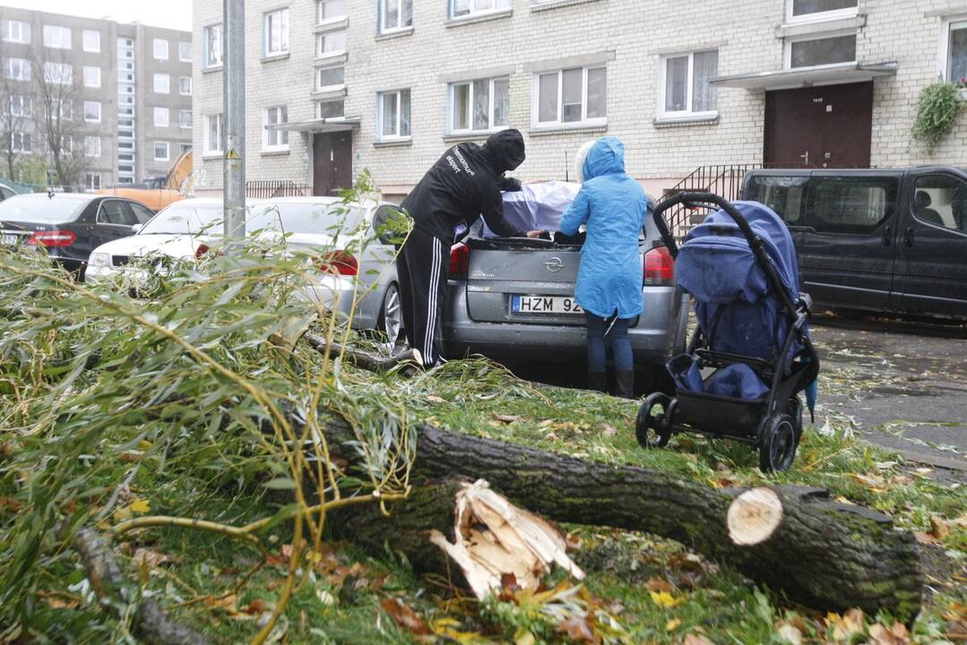 Vėtra uostamiestyje