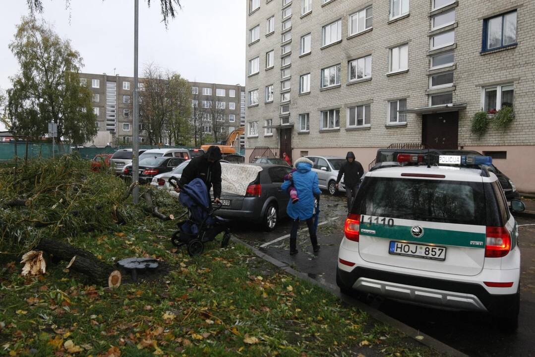 Vėtra uostamiestyje