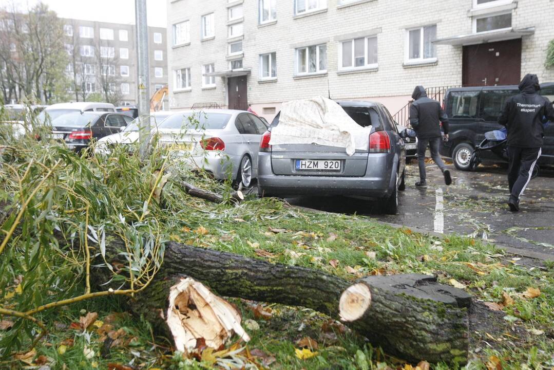Vėtra uostamiestyje