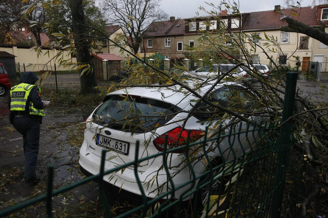 Vėtra uostamiestyje