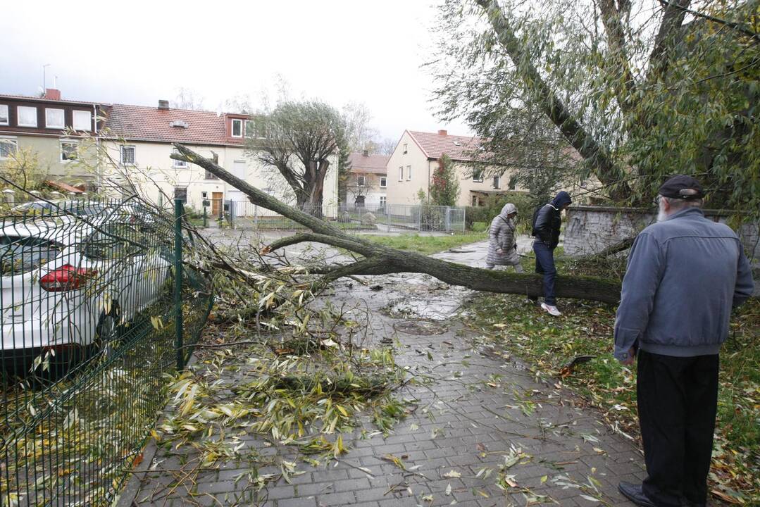 Vėtra uostamiestyje