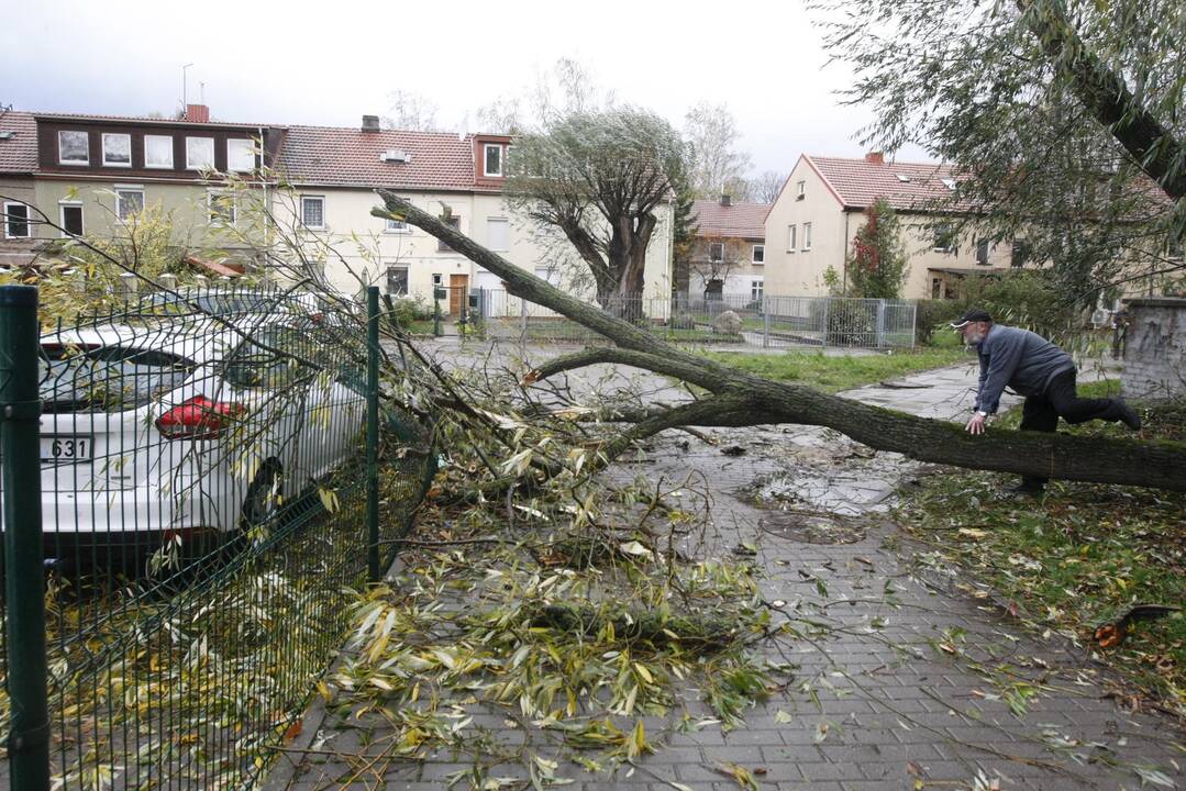 Vėtra uostamiestyje