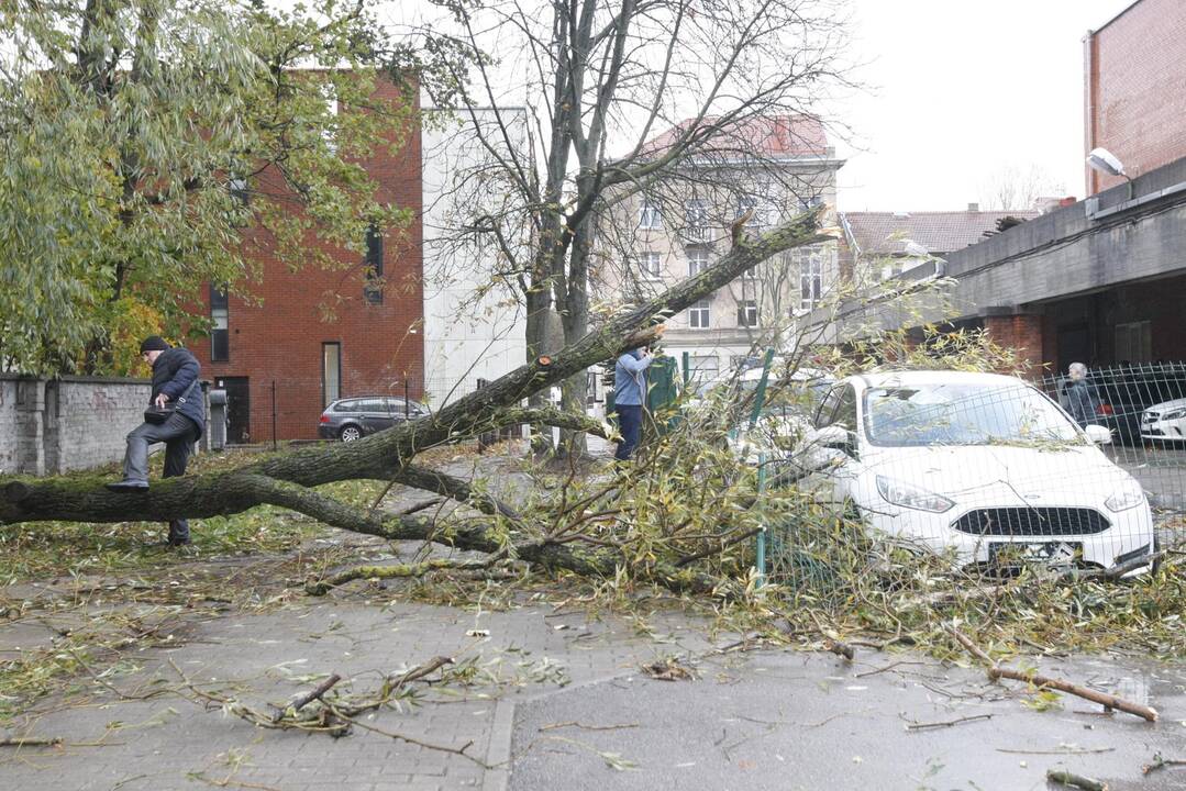Vėtra uostamiestyje
