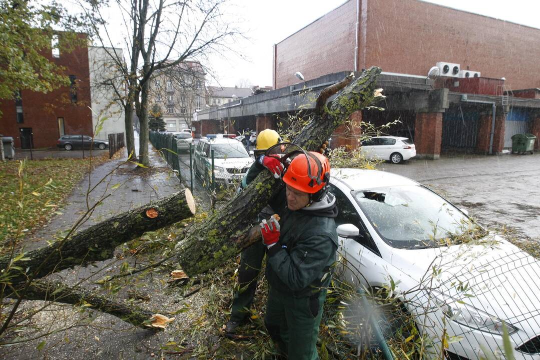 Vėtra uostamiestyje