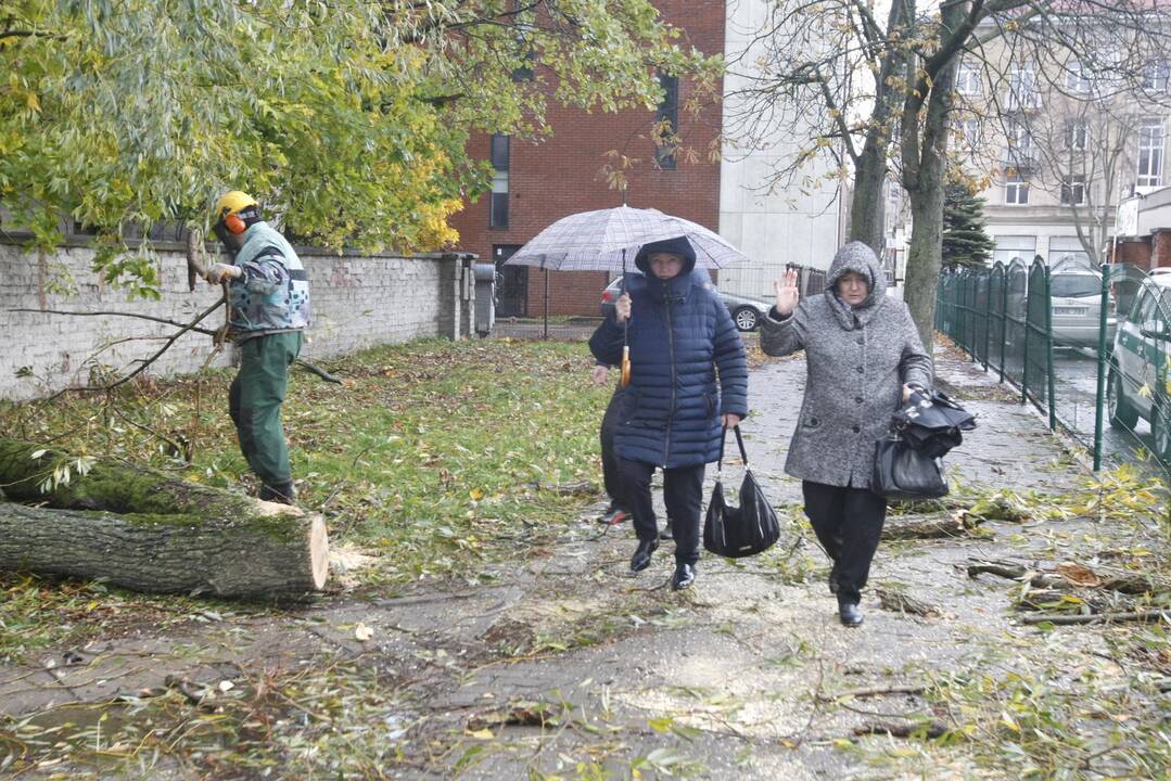 Vėtra uostamiestyje