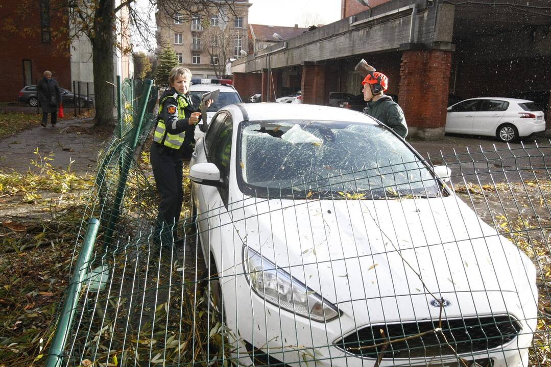 Vėtra uostamiestyje
