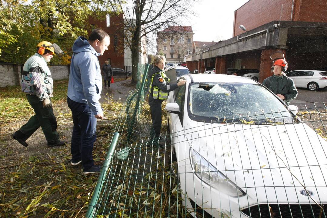 Vėtra uostamiestyje