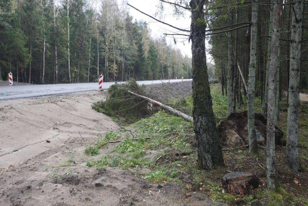Vėtra uostamiestyje